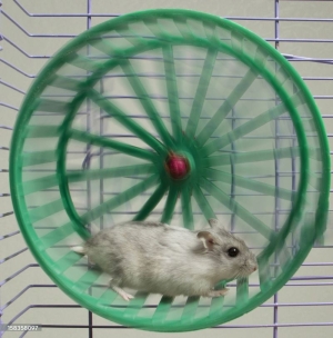 Get Off the Hedonic Treadmill